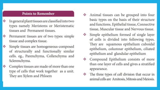 18. Pedagogy of Biological Science (Part II ) - Organisation of tissues