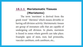 18. Pedagogy of Biological Science (Part II ) - Organisation of tissues