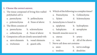 18. Pedagogy of Biological Science (Part II ) - Organisation of tissues