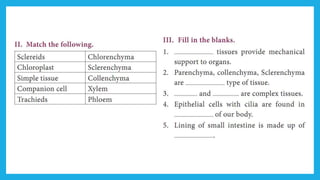 18. Pedagogy of Biological Science (Part II ) - Organisation of tissues