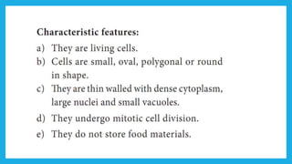 18. Pedagogy of Biological Science (Part II ) - Organisation of tissues