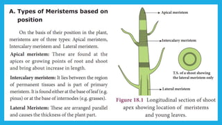 18. Pedagogy of Biological Science (Part II ) - Organisation of tissues