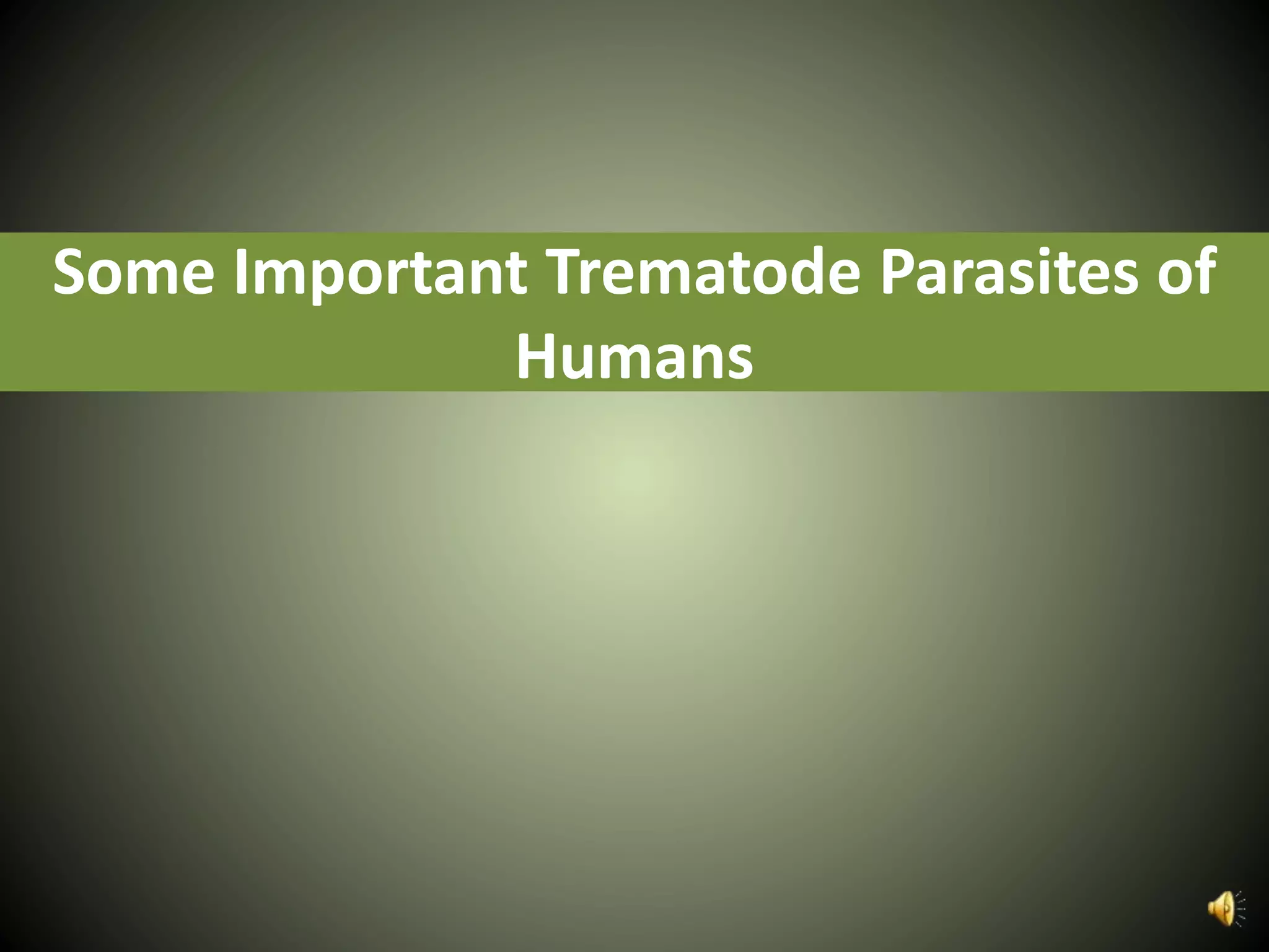 Some Important Trematode Parasites of
Humans
 