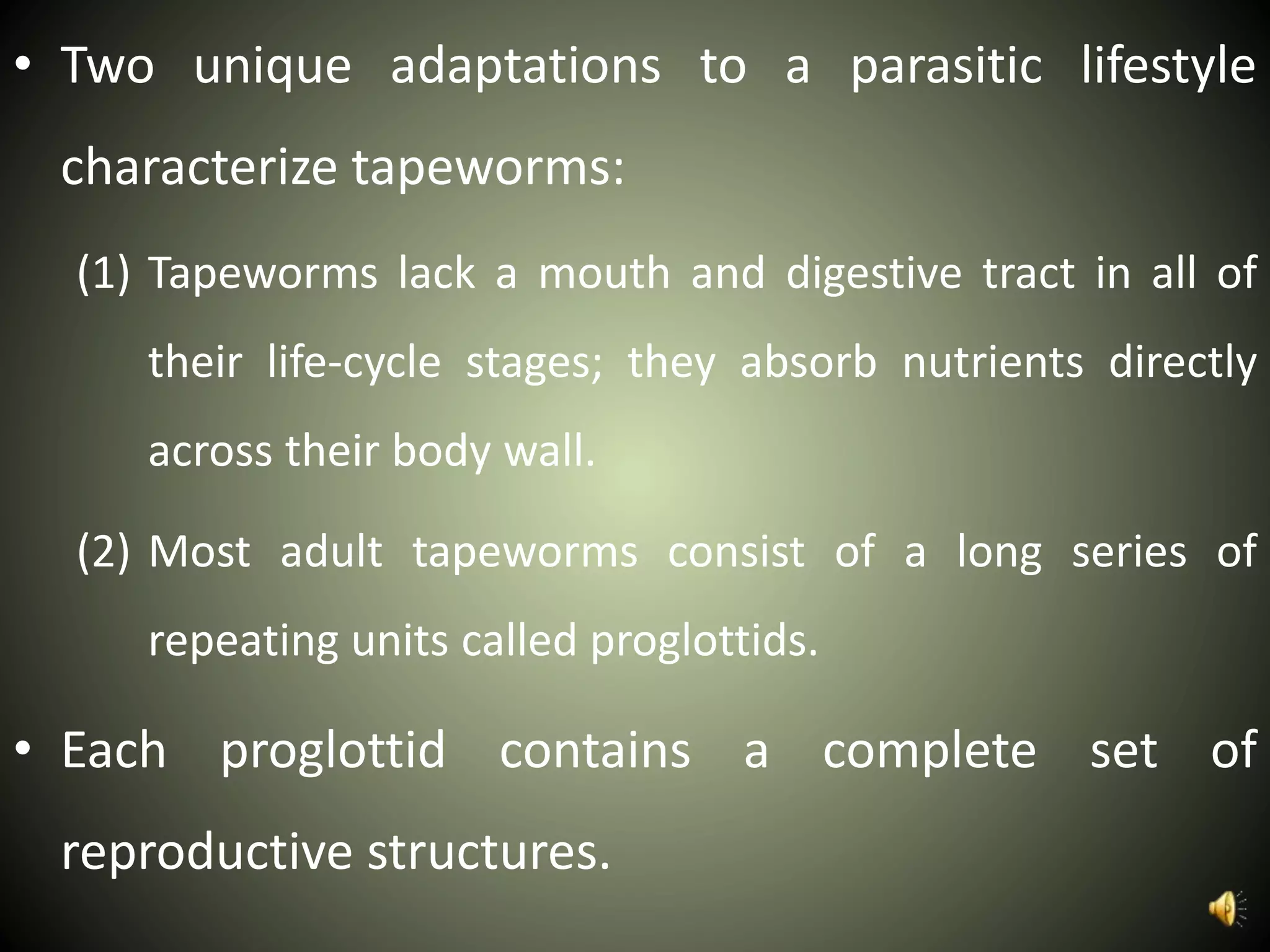 • Two unique adaptations to a parasitic lifestyle
characterize tapeworms:
(1) Tapeworms lack a mouth and digestive tract in all of
their life-cycle stages; they absorb nutrients directly
across their body wall.
(2) Most adult tapeworms consist of a long series of
repeating units called proglottids.
• Each proglottid contains a complete set of
reproductive structures.
 