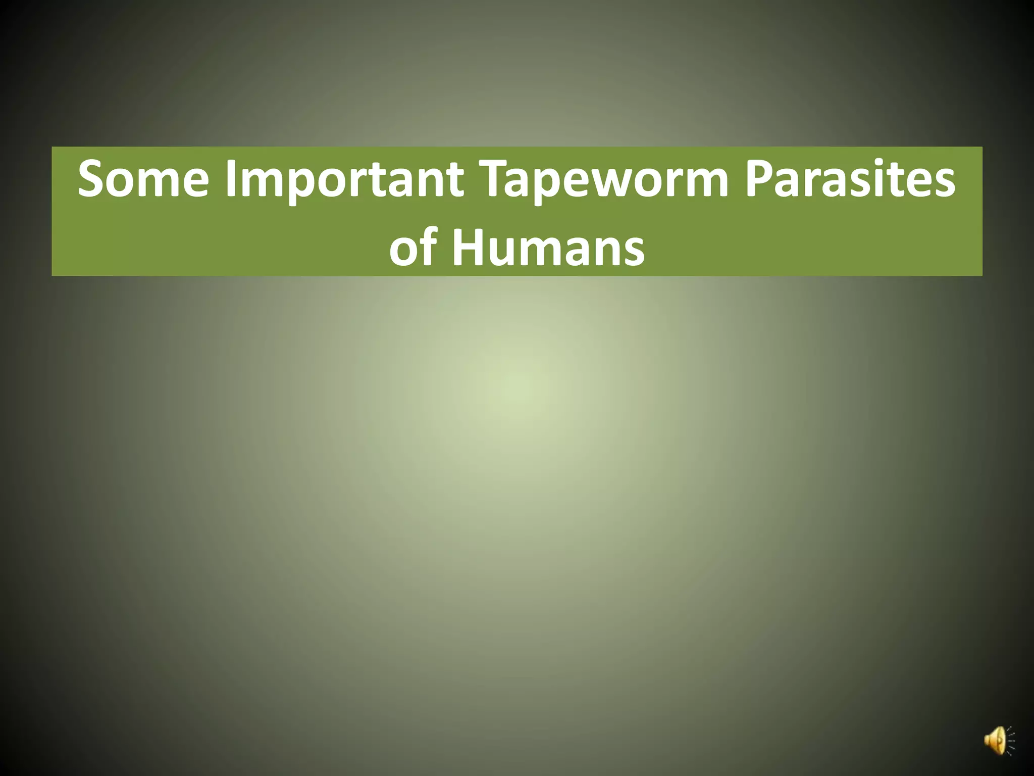 Some Important Tapeworm Parasites
of Humans
 