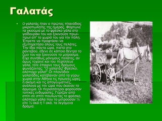 Γαλατάς
 Ο γαλατάς ήταν ο πρώτος πλανόδιος
μικροπωλητής της ημέρας. Φόρτωνε
τα γκιούμια με το φρέσκο γάλα στο
γαϊδουράκι του και ξεκινούσε πρωί-
πρωί απ' το χωριό του για την πόλη.
Έπρεπε να προφτάσει να
εξυπηρετήσει όλους τους πελάτες.
Την ίδια πάντα ώρα, πιστό στο
ραντεβού, έδενε σε κάποιο δέντρο το
ζώο του και ξεκινούσε το μοίρασμα.
Είχε συνήθως μόνιμους πελάτες, αν
όμως τύχαινε και του περίσσευε
γάλα, τότε έπαιρνε τους δρόμους
φωνάζοντας: "Ο γαλατάς! Φρέσκο,
ολόπαχο γάλα!" Οι πλανόδιοι
γαλατάδες κατέβαιναν από τα γύρω
χωριά στην Αθήνα τις πρωινές ώρες
ή ακόμη και τις απογευματινές,
ανάλογα με την ώρα που έκαναν το
άρμεγμα. Οι περισσότεροι φορούσαν
τοπικές ενδυμασίες. Γύριζαν από
σπίτι σε σπίτι πουλώντας το φρέσκο,
ολόπαχο γάλα που το μετρούσαν ¼
είτε ½ οκά ή 1 οκά, τα λεγόμενα
δράμια.
 