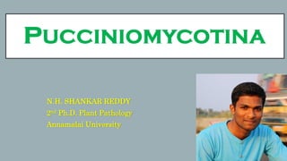 PUCCINIOMYCOTINA
N.H. SHANKAR REDDY
2nd Ph.D. Plant Pathology
Annamalai University
 