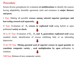 Procedure
Screen diverse germplasms by evaluation at multilocations to identify the sources
having adaptability, desirable agronomic traits and resistance to major diseases
and pests.
I Year: Making all possible crosses among selected superior genotypes and
harvesting crossed seed separately.
II Year: Evaluation of F1 crosses in replicated trail using hybrid or open
pollinated variety as check.
III to IV Year: Evaluation of F2 , F3 and F4 generations replicated trail using
standard check, identification of crosses exhibiting little or no inbreeding
depression.
VI & VII Year: Mixing parental seed of superior crosses in equal quantity to
constitute composite variety , seed multiplication by open pollination in
isolation.
VIII Year: Release of new composite variety
 