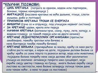 18. Pokretljivost - kretanje | PPT