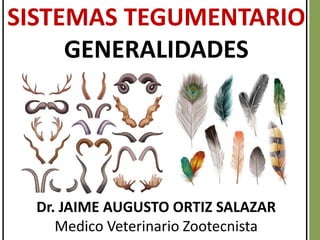 SISTEMAS TEGUMENTARIO
GENERALIDADES
Dr. JAIME AUGUSTO ORTIZ SALAZAR
Medico Veterinario Zootecnista
 