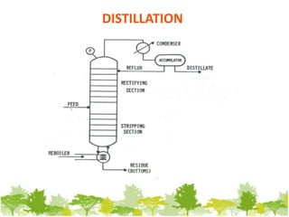 18. ALCOHOL PRODUCTION.ppt