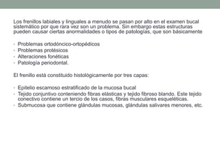 Los frenillos labiales y linguales a menudo se pasan por alto en el examen bucal
sistemático por que rara vez son un problema. Sin embargo estas estructuras
pueden causar ciertas anormalidades o tipos de patologías, que son básicamente
• Problemas ortodóncico-ortopédicos
• Problemas protésicos
• Alteraciones fonéticas
• Patología periodontal.
El frenillo está constituido histológicamente por tres capas:
• Epitelio escamoso estratificado de la mucosa bucal
• Tejido conjuntivo conteniendo fibras elásticas y tejido fibroso blando. Este tejido
conectivo contiene un tercio de los casos, fibras musculares esqueléticas.
• Submucosa que contiene glándulas mucosas, glándulas salivares menores, etc.
 