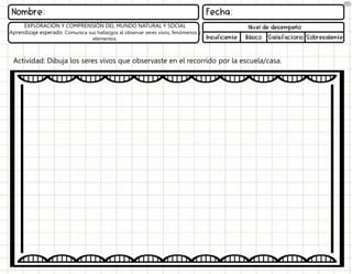 Actividad: Dibuja los seres vivos que observaste en el recorrido por la escuela/casa.
EXPLORACIÓN Y COMPRENSIÓN DEL MUNDO NATURAL Y SOCIAL
Aprendizaje esperado: Comunica sus hallazgos al observar seres vivos, fenómenos y
elementos.
 