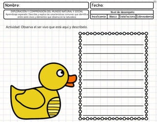 Actividad: Observa el ser vivo que está aquí y descríbelo.
EXPLORACIÓN Y COMPRENSIÓN DEL MUNDO NATURAL Y SOCIAL
Aprendizaje esperado: Describe y explica las características comunes que identifica
entre seres vivos y elementos que observa en la naturaleza
 