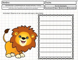 Actividad: Observa el ser vivo que está aquí y descríbelo.
EXPLORACIÓN Y COMPRENSIÓN DEL MUNDO NATURAL Y SOCIAL
Aprendizaje esperado: Describe y explica las características comunes que identifica
entre seres vivos y elementos que observa en la naturaleza.
 