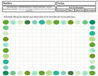 Actividad: Dibuja las plantas que observaste en el recorrido por la escuela/casa.
EXPLORACIÓN Y COMPRENSIÓN DEL MUNDO NATURAL Y SOCIAL
Aprendizaje esperado: Comunica sus hallazgos al observar seres vivos, fenómenos y
elementos.
 
