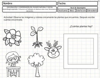 Actividad: Observa las imágenes y colorea únicamente las plantas que encuentres. Después escribe
cuántas encontraste.
EXPLORACIÓN Y COMPRENSIÓN DEL MUNDO NATURAL Y SOCIAL
Aprendizaje esperado: Comunica sus hallazgos al observar seres vivos, fenómenos y
elementos.
¿Cuántas plantas hay?
 
