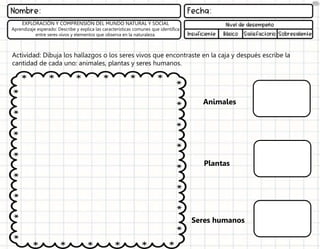 Actividad: Dibuja los hallazgos o los seres vivos que encontraste en la caja y después escribe la
cantidad de cada uno: animales, plantas y seres humanos.
EXPLORACIÓN Y COMPRENSIÓN DEL MUNDO NATURAL Y SOCIAL
Aprendizaje esperado: Describe y explica las características comunes que identifica
entre seres vivos y elementos que observa en la naturaleza.
Animales
Plantas
Seres humanos
 