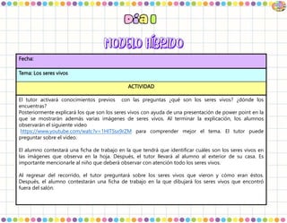 Fecha:
Tema: Los seres vivos
ACTIVIDAD
El tutor activará conocimientos previos con las preguntas ¿qué son los seres vivos? ¿dónde los
encuentras?
Posteriormente explicará los que son los seres vivos con ayuda de una presentación de power point en la
que se mostrarán además varias imágenes de seres vivos. Al terminar la explicación, los alumnos
observarán el siguiente video
https://www.youtube.com/watc?v=1HITSsx9rZM para comprender mejor el tema. El tutor puede
preguntar sobre el video.
El alumno contestará una ficha de trabajo en la que tendrá que identificar cuáles son los seres vivos en
las imágenes que observa en la hoja. Después, el tutor llevará al alumno al exterior de su casa. Es
importante mencionarle al niño que deberá observar con atención todo los seres vivos.
Al regresar del recorrido, el tutor preguntará sobre los seres vivos que vieron y cómo eran éstos.
Después, el alumno contestarán una ficha de trabajo en la que dibujará los seres vivos que encontró
fuera del salón.
 
