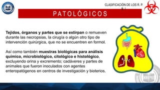 P A T O L Ó G I C O S
Tejidos, órganos y partes que se extirpan o remueven
durante las necropsias, la cirugía o algún otro tipo de
intervención quirúrgica, que no se encuentren en formol.
Así como también muestras biológicas para análisis
químico, microbiológico, citológico e histológico,
excluyendo orina y excremento; cadáveres y partes de
animales que fueron inoculados con agentes
enteropatógenos en centros de investigación y bioterios.
CLASIFICACIÓN DE LOS R. P.
B. I.
 