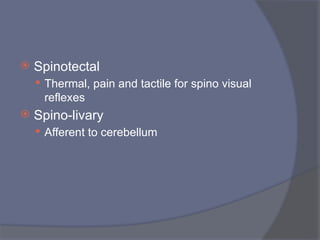  Spinotectal
 Thermal, pain and tactile for spino visual
reflexes
 Spino-livary
 Afferent to cerebellum
 
