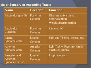 Major Sensory or Ascending Tracts
Name Location Function
Fasciculus gracilis Posterior
Column
Discriminative touch,
proprioception
Weight discrimination
Fasciculus
Cuneatus
Posterior
Column
Same as FG
Lateral
Spinothalamic
Lateral
Column
Pain and Thermal sensations
Anterior
Spinothalamic
Anterior
Column
Itch, Tickle, Pressure, Crude
touch sensations
Posterior and
Anterior
Spinocerebellar
Lateral
Column
Proprioceptors
 