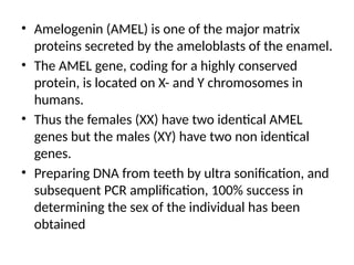 • Amelogenin (AMEL) is one of the major matrix
proteins secreted by the ameloblasts of the enamel.
• The AMEL gene, coding for a highly conserved
protein, is located on X- and Y chromosomes in
humans.
• Thus the females (XX) have two identical AMEL
genes but the males (XY) have two non identical
genes.
• Preparing DNA from teeth by ultra sonification, and
subsequent PCR amplification, 100% success in
determining the sex of the individual has been
obtained
 