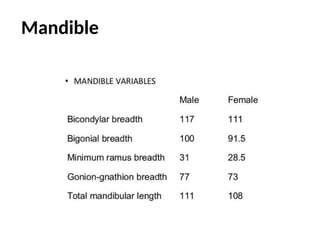 Mandible
 