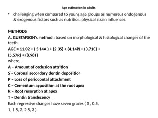 Age estimation in adults
• challenging when compared to young age groups as numerous endogenous
& exogenous factors such as nutrition, physical strain influences.
METHODS
A. GUSTAFSON’s method : based on morphological & histological changes of the
teeth.
AGE = 11.02 + ( 5.14A ) + (2.3S) + (4.14P) + (3.71C) +
(5.57R) + (8.98T)
where,
A – Amount of occlusion attrition
S – Coronal secondary dentin deposition
P – Loss of periodontal attachment
C – Cementum apposition at the root apex
R – Root resorption at apex
T – Dentin translucency
Each regressive changes have seven grades ( 0 , 0.5,
1, 1.5, 2, 2.5, 3 )
 