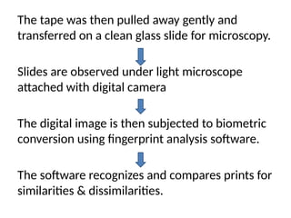 The tape was then pulled away gently and
transferred on a clean glass slide for microscopy.
Slides are observed under light microscope
attached with digital camera
The digital image is then subjected to biometric
conversion using fingerprint analysis software.
The software recognizes and compares prints for
similarities & dissimilarities.
 