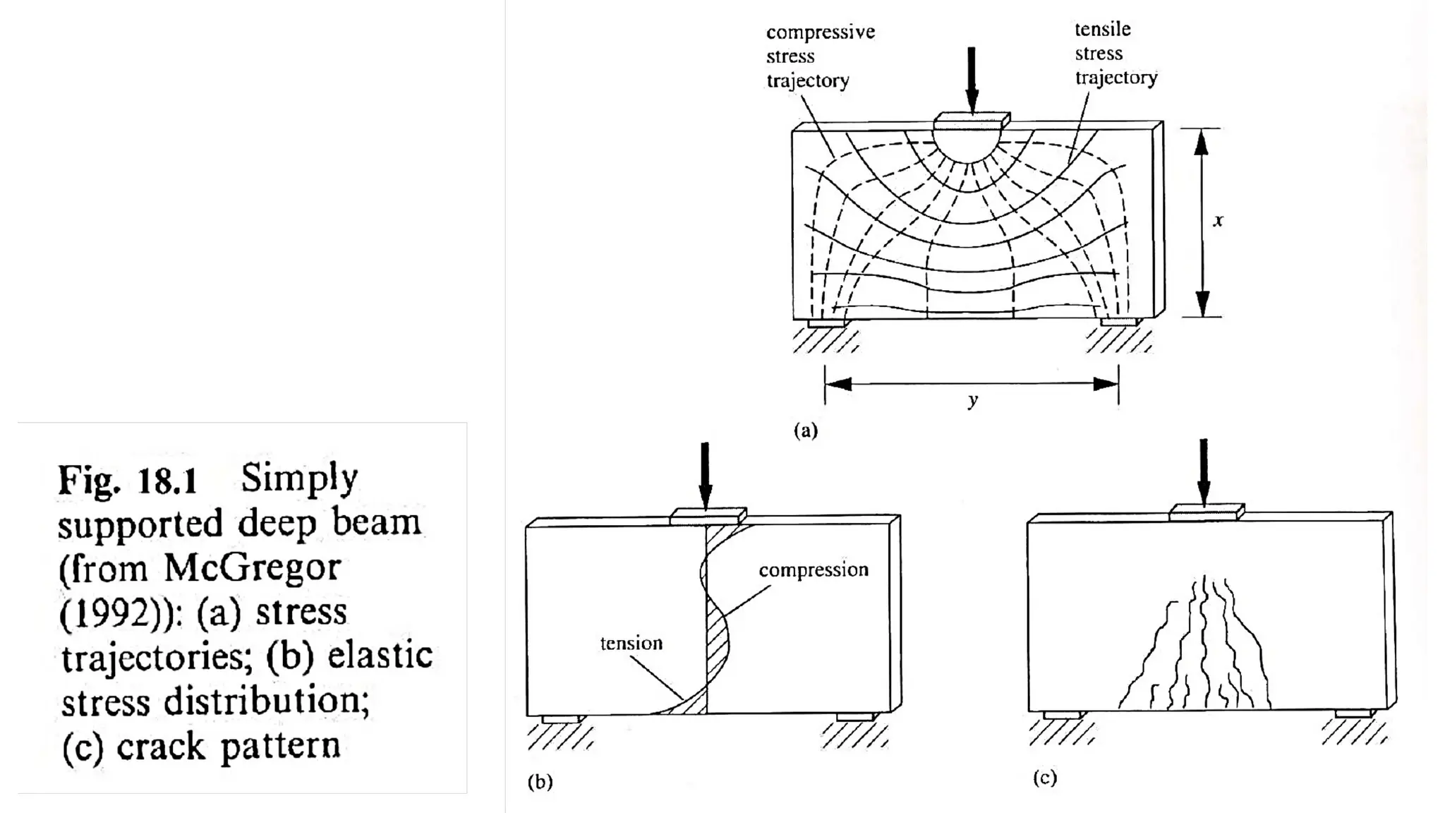 Strut and tie model worked example for beginners | PPTX