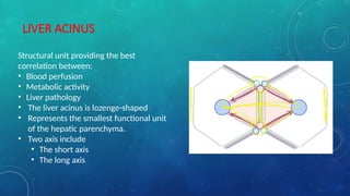 Comprehensive Histology of the Liver: Structure, Function, and Blood ...
