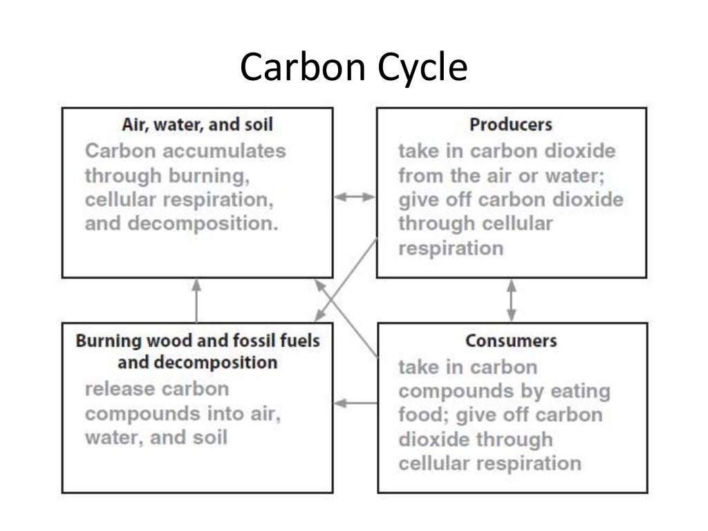 Ch. 18.2 Cycles of Matter