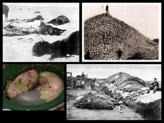 Slaughter of the
     Buffalo
 