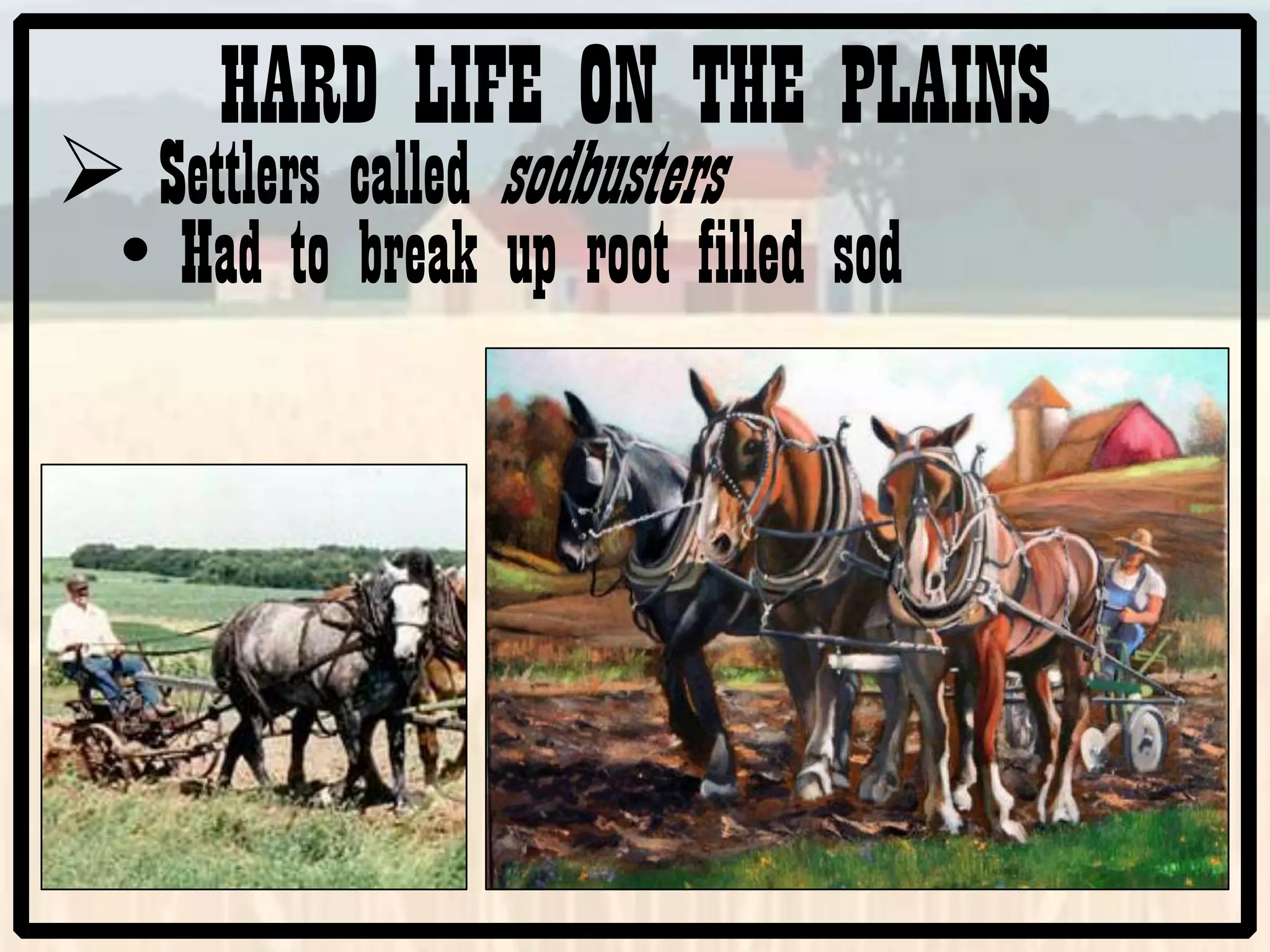 HARD LIFE ON THE PLAINS
Settlers called sodbusters
• Had to break up root filled sod