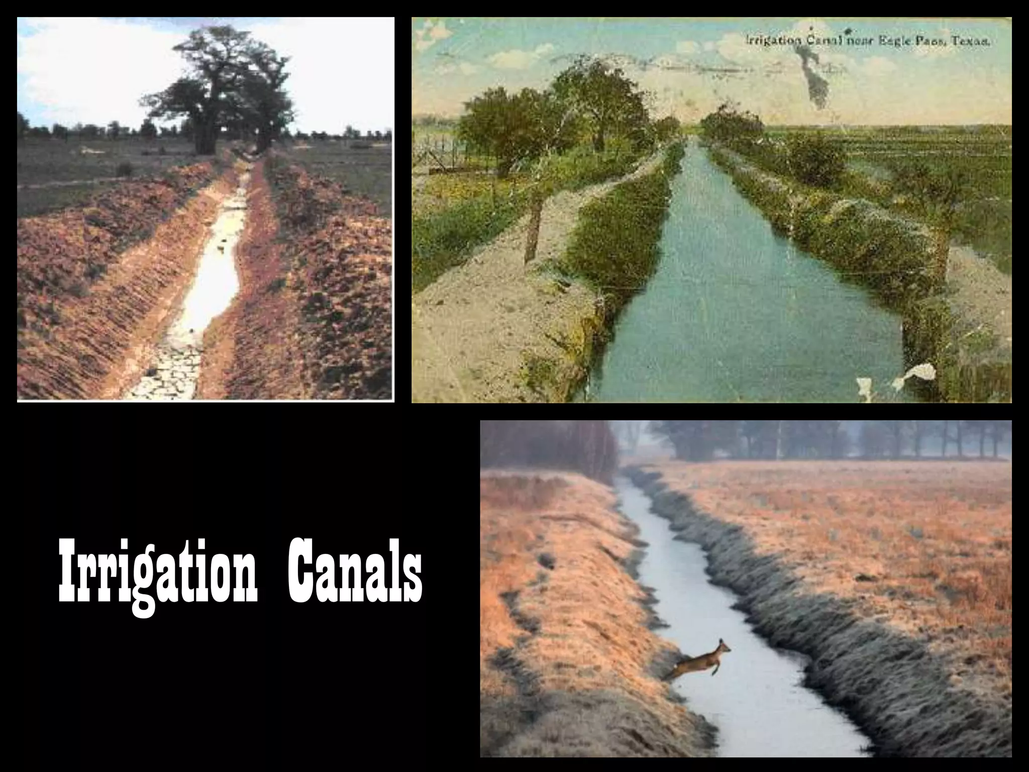 Irrigation Canals