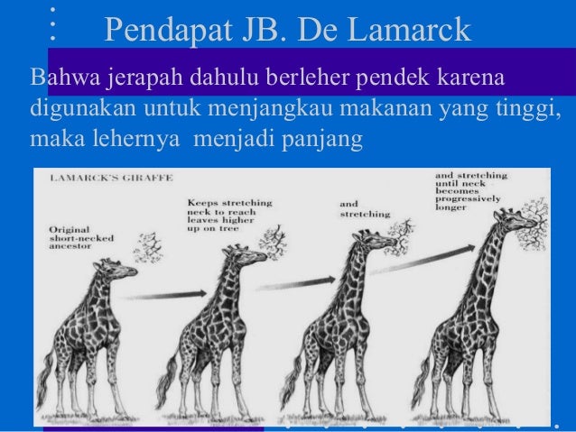 IPA Kelas VII - Kelangsungan Hidup Makhluk Hidup