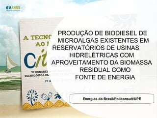 PRODUÇÃO DE BIODIESEL DE  MICROALGAS EXISTENTES EM  RESERVATÓRIOS DE USINAS  HIDRELÉTRICAS COM  APROVEITAMENTO DA BIOMASSA  RESIDUAL COMO  FONTE DE ENERGIA  Energias do Brasil/Policonsult/UPE 