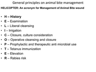 18-ANIMAL-BITE medical guideline pdf.ppt