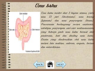 Usus halus
  Usus halus terdiri dari 3 bagian utama, yaitu
  usus 12 jari (duodenum), usus kosong
  (jejunum) dan usus penyerapan (ileum).
  Pencernaan berlangsung secara enzimatis,
  sekaligus penyerapan sari-sari makananenzim
  yang bekerja pada usus halus berasal dari
  pankreaas, hati dan dinding usus halus.
  Enzim yang disekresikan oleh usus halus
  antara lain maltase, sukrosa, erepsin, lactase
  dan enterokinase.




BACK            NEXT
 