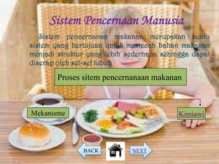 Sistem Pencernaan Manusia
   Sistem pencernanan makanan merupakan suatu
sistem yang bertujuan untuk memecah bahan makanan
menjadi struktur yang lebih sederhana sehingga dapat
diserap oleh sel-sel tubuh .

        Proses sitem pencernanaan makanan



Mekanisme                                  Kimiawi



               BACK          NEXT
 