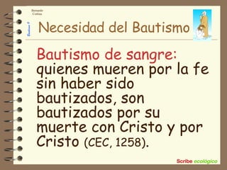 Necesidad del Bautismo Bautismo de sangre:  quienes mueren por la fe sin haber sido bautizados, son bautizados por su muerte con Cristo y por Cristo  (CEC, 1258) . 