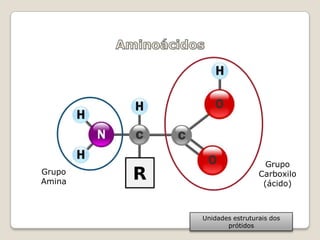Grupo
Grupo                    Carboxilo
Amina                     (ácido)



        Unidades estruturais dos
               prótidos
 