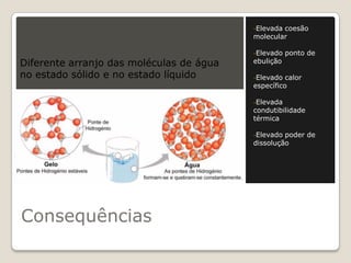 -Elevadacoesão
                                          molecular

                                          -Elevado   ponto de
Diferente arranjo das moléculas de água   ebulição

no estado sólido e no estado líquido      -Elevado  calor
                                          específico

                                          -Elevada
                                          condutibilidade
                                          térmica

                                          -Elevado poder de
                                          dissolução




Consequências
 