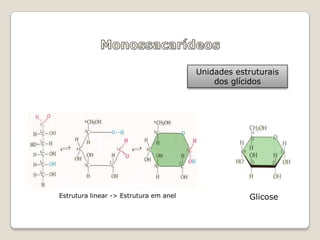 Unidades estruturais
                                            dos glícidos




Estrutura linear -> Estrutura em anel               Glicose
 
