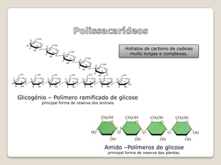 Hidratos de carbono de cadeias
                                                     muito longas e complexas.




Glicogénio – Polímero ramificado de glicose
        principal forma de reserva dos animais




                                         Amido –Polímeros de glicose
                                          principal forma de reserva das plantas.
 