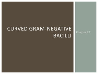 CURVED GRAM-NEGATIVE    Chapter 20
              BACILLI
 