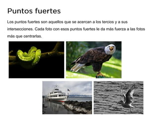 Los puntos fuertes son aquellos que se acercan a los tercios y a sus
intersecciones. Cada foto con esos puntos fuertes le da más fuerza a las fotos
más que centrarlas.
 
