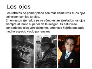 Los retratos de primer plano son más llamativos si los ojos
coinciden con los tercios.
En en estos ejemplos se ve cómo estan ajustados los ojos
siempre al tercio superior de la imagen. Si estubiese
centrado los ojos verticalmente, entonces habría quedado
mucho espacio vacío por encima y habría quedado
descompensada la imagen, sobre todo en la segunda y tercera fotografía.
 