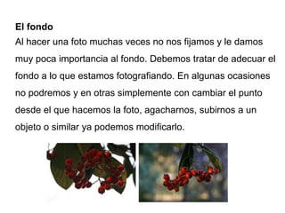 El fondo
Al hacer una foto muchas veces no nos fijamos y le damos
muy poca importancia al fondo. Debemos tratar de adecuar el
fondo a lo que estamos fotografiando. En algunas ocasiones
no podremos y en otras simplemente con cambiar el punto
desde el que hacemos la foto, agacharnos, subirnos a un
objeto o similar ya podemos modificarlo.
 